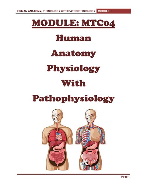 studoc|studoc anatomy physiology and pathophysiology.